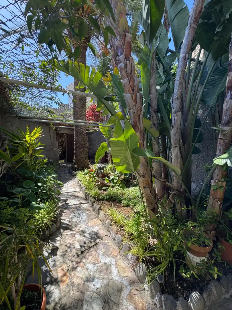 Casa o xalet en venda a Fasnia