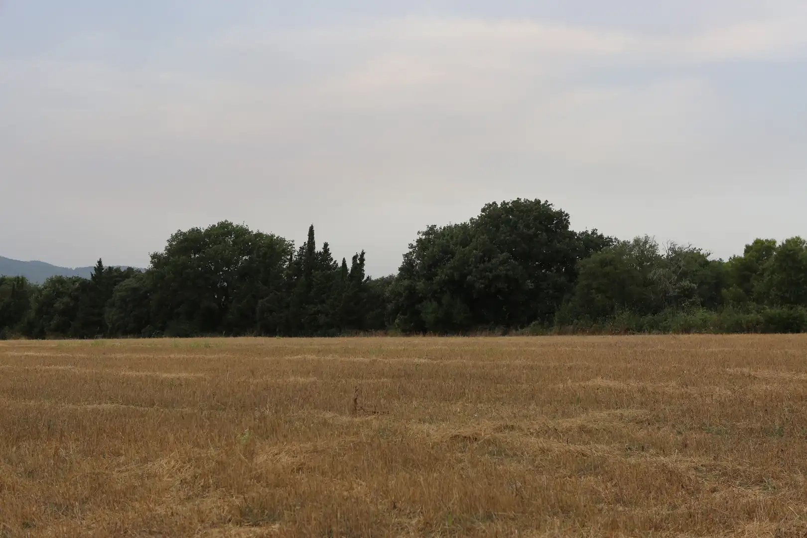 Finca rústica en venda en Begur amb Jardí privat