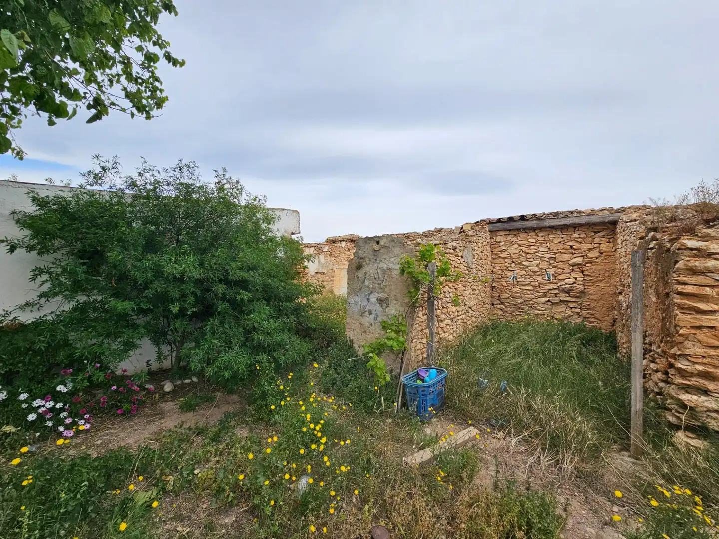 Landhaus zum Verkauf in Eucaliptus- Poble Nou del Delta, imagen 17