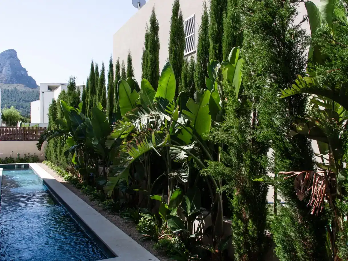 Jardí de Casa o xalet en venda en Artà amb Aire condicionat, Piscina i Balcó