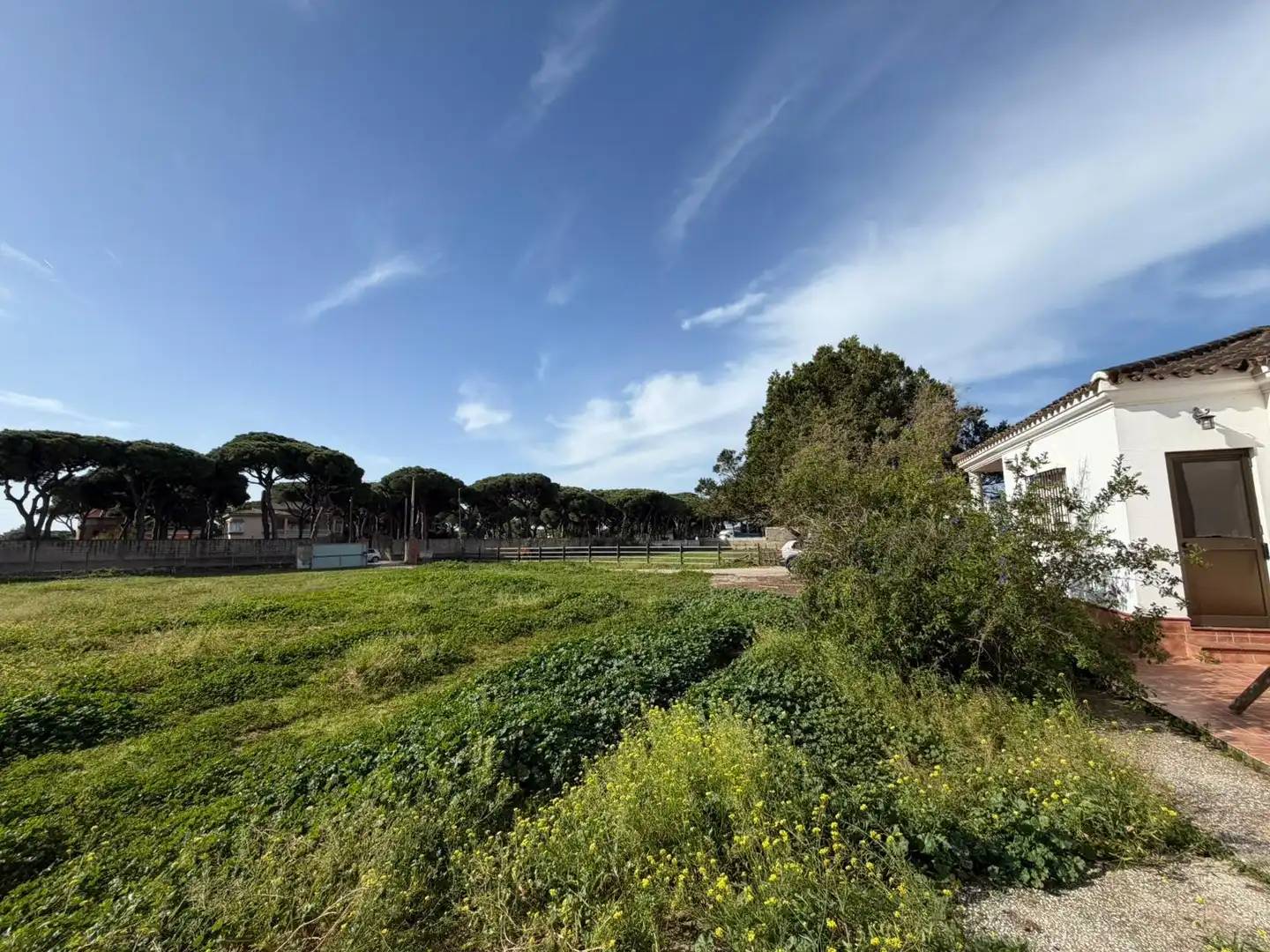 Casa rústica en venda a Las Lagunas - Campano, imagen 47