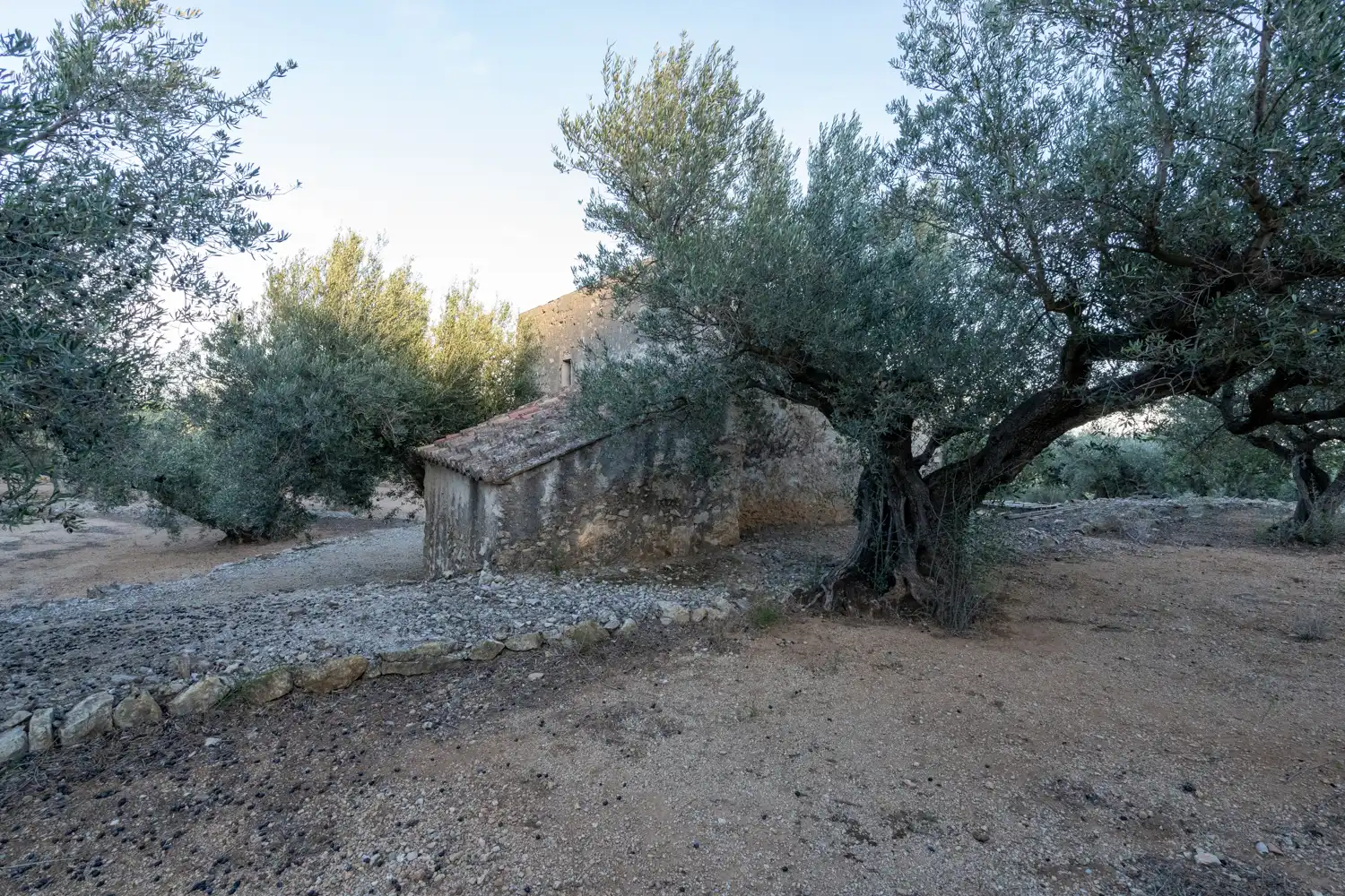 Terrain rustique à vendre à Roquetes, imagen 19