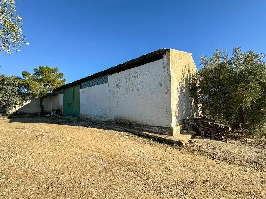 Terreny rústic en venda a CORTIJO DE MORA Y MARAÑON, imagen 9