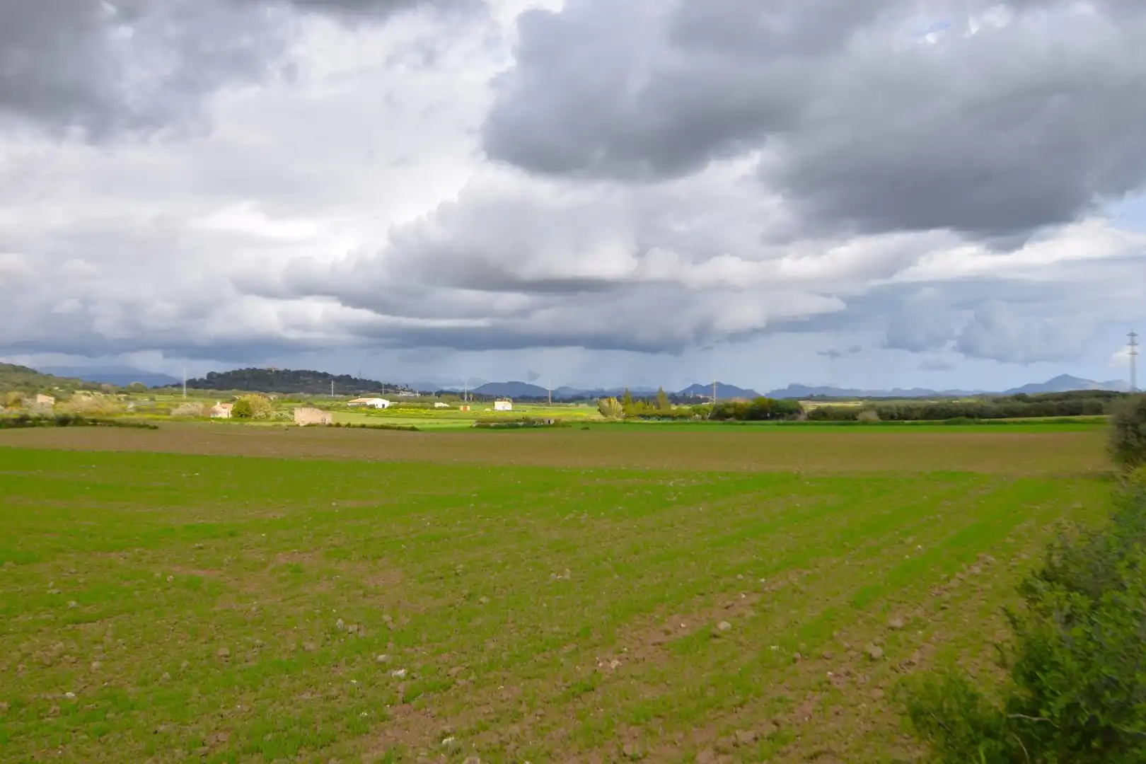 Residential land for sale in Muro, imagen 18
