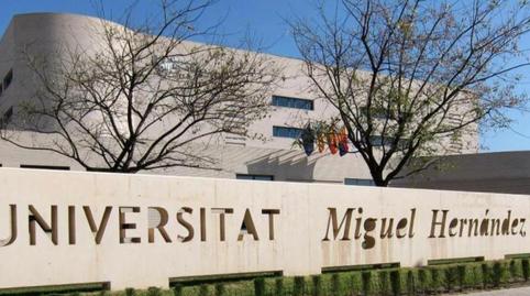 Photo 3 of Flat to share in Calle Félix Laorden García, Altabix, Elche / Elx