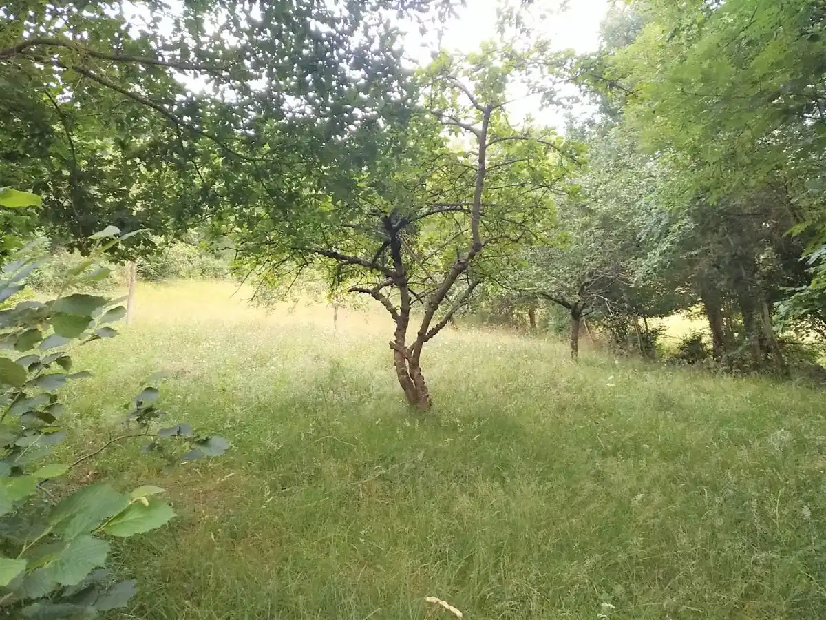 Residential land for sale in LAS CORRADAS (LA MATA), imagen 3