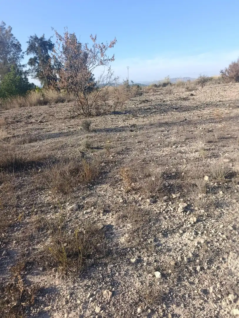 Industrial land for sale in Bullas, Murcia