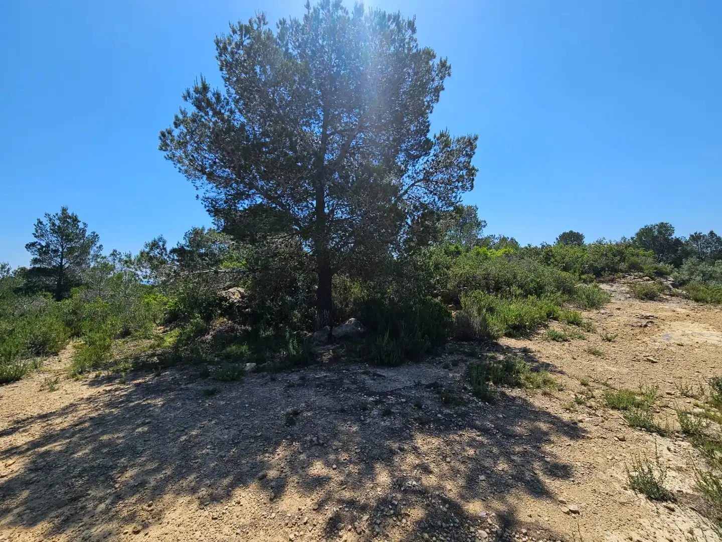 Grundstücke zum Verkauf in L'Ametlla de Mar 