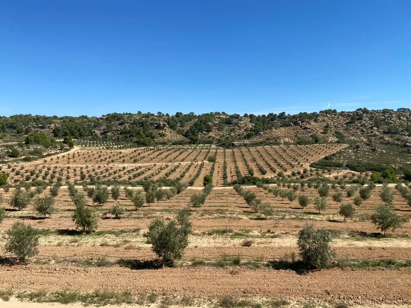 Casa o chalet en venta en Alcañiz con Terraza