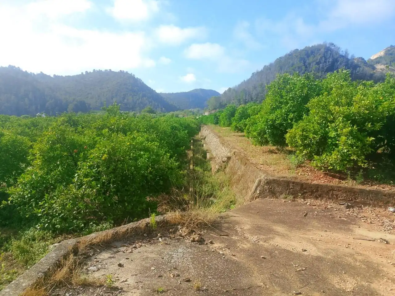 Land for sale in L'Atzúbia