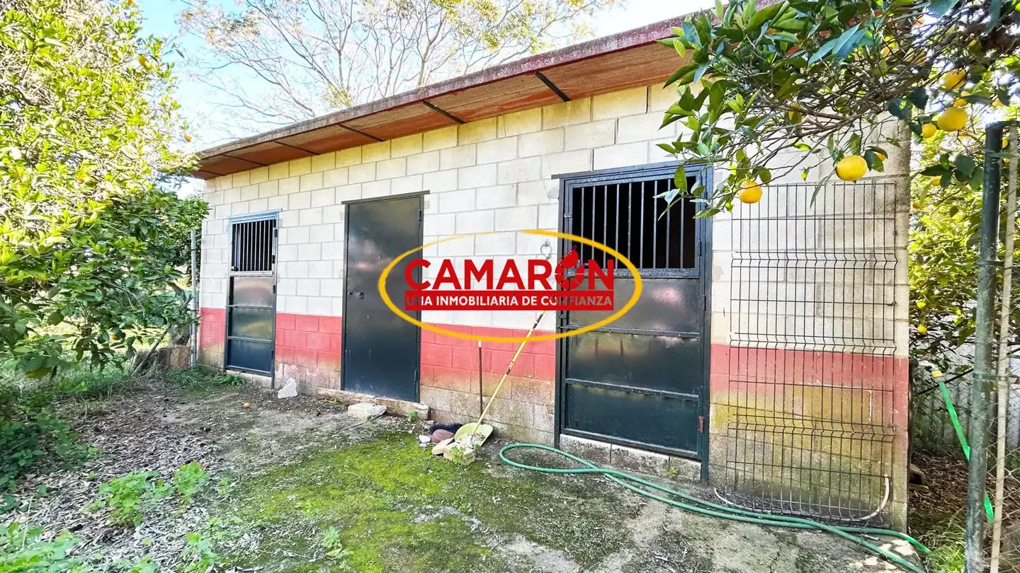 Vista exterior de Finca rústica en venda en Coria del Río amb Jardí privat i Piscina