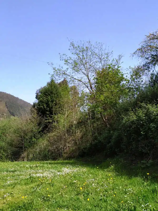 Terrains et parcelles à vendre à C/ Camino de Errota, imagen 14