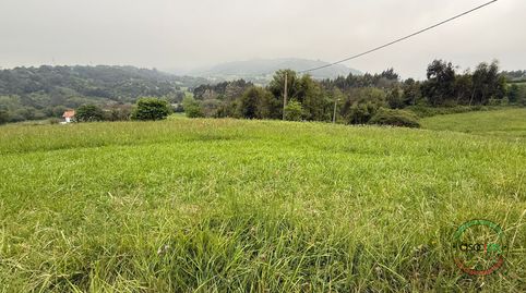 FINCA EDIFICABLE EN TAMON CARREÑO, imagen 2