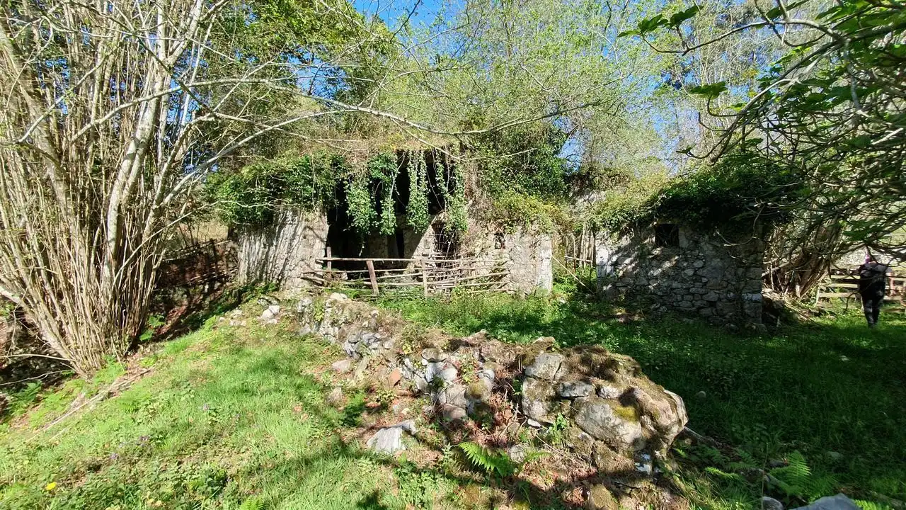 Finca rústica en venta en Llanes