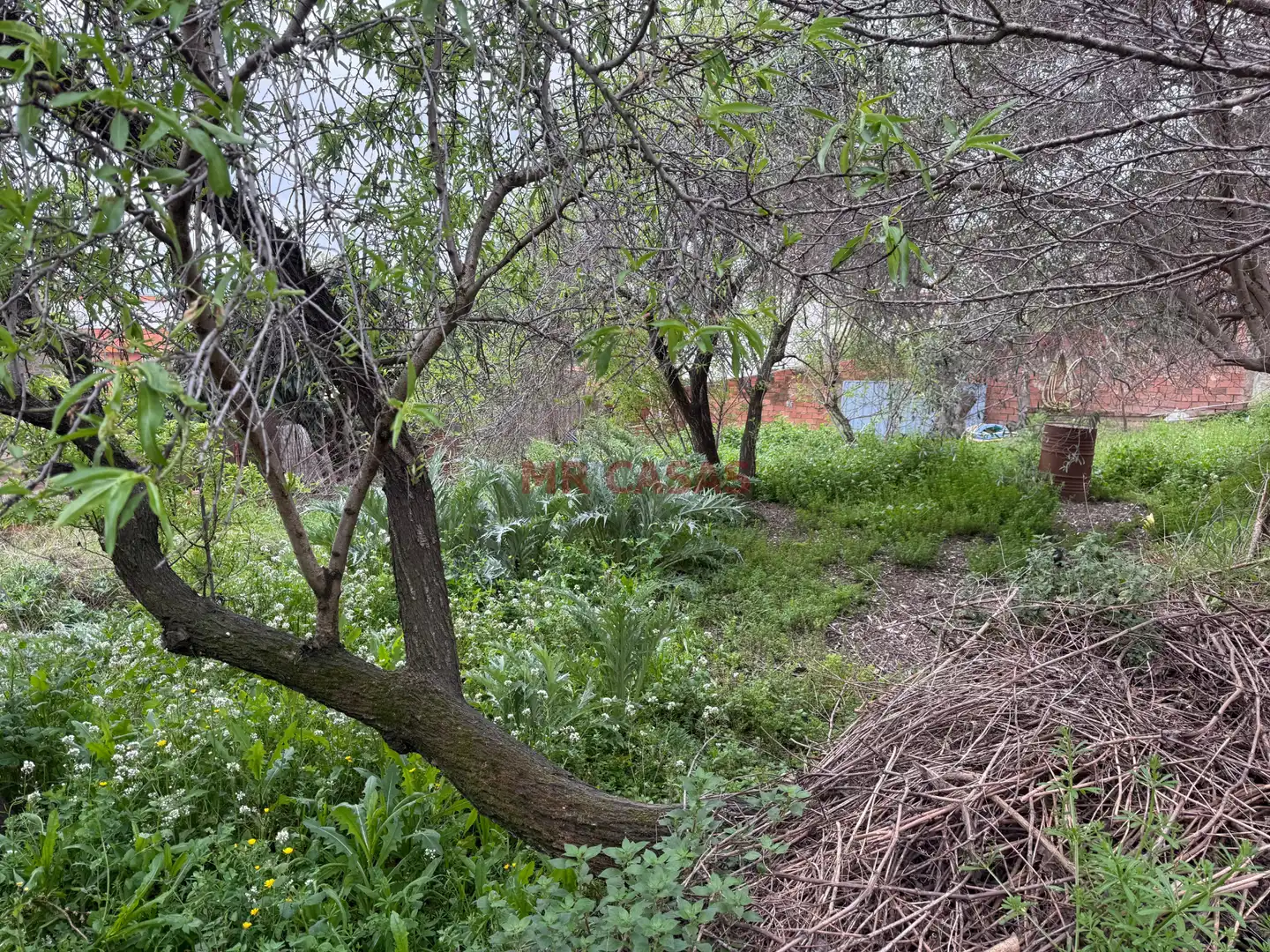 Residential land for sale in Carrer de Lleó, imagen 19
