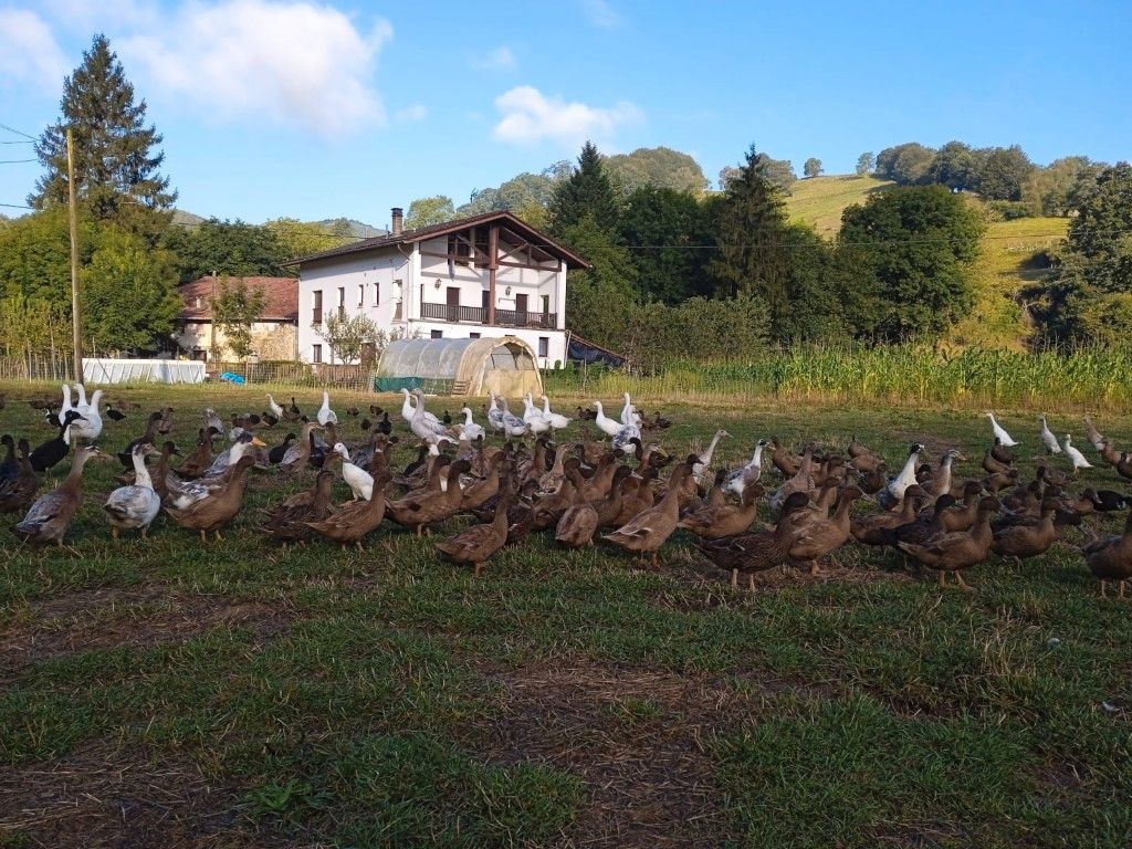Jardí de Dúplex en venda en Bidania-Goiatz amb Calefacció, Jardí privat i Terrassa