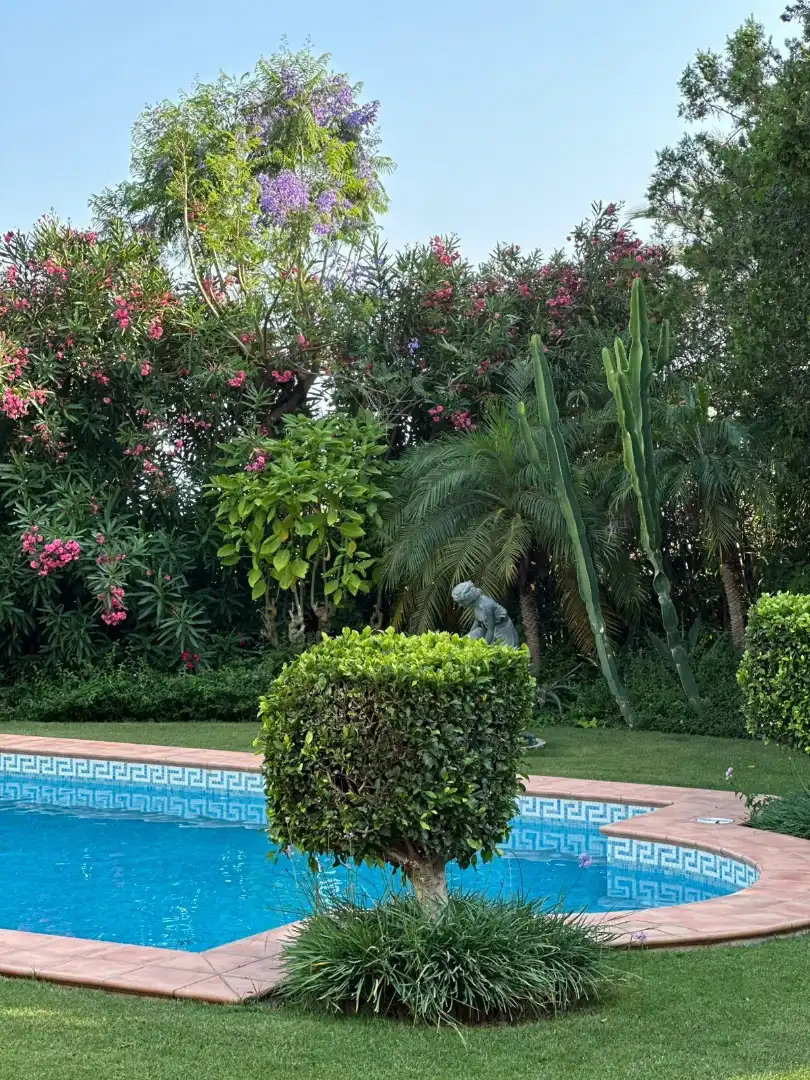 Chalet en venta en Calle Cañete 2, imagen 21