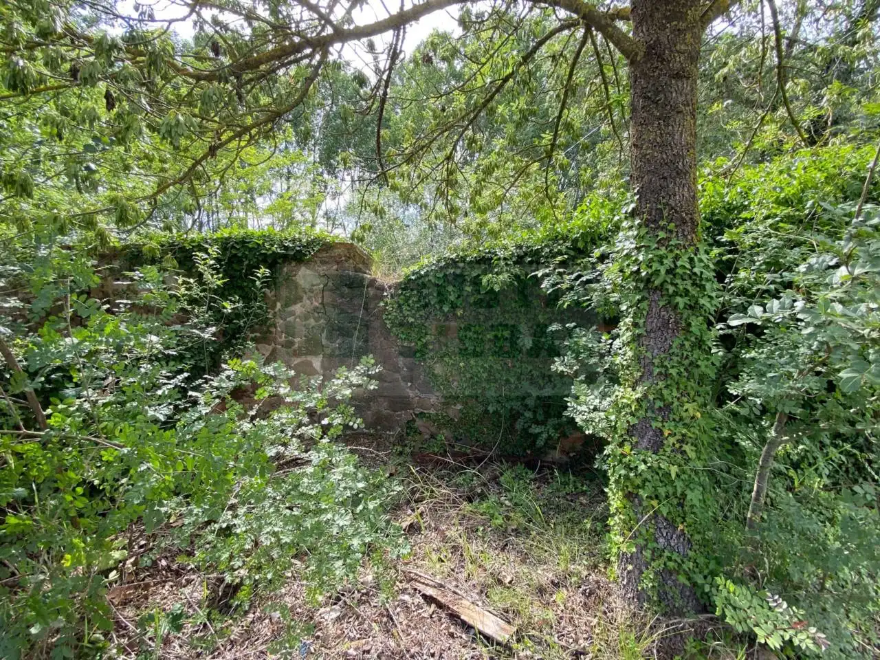 Finca rústica en venta en La Pera