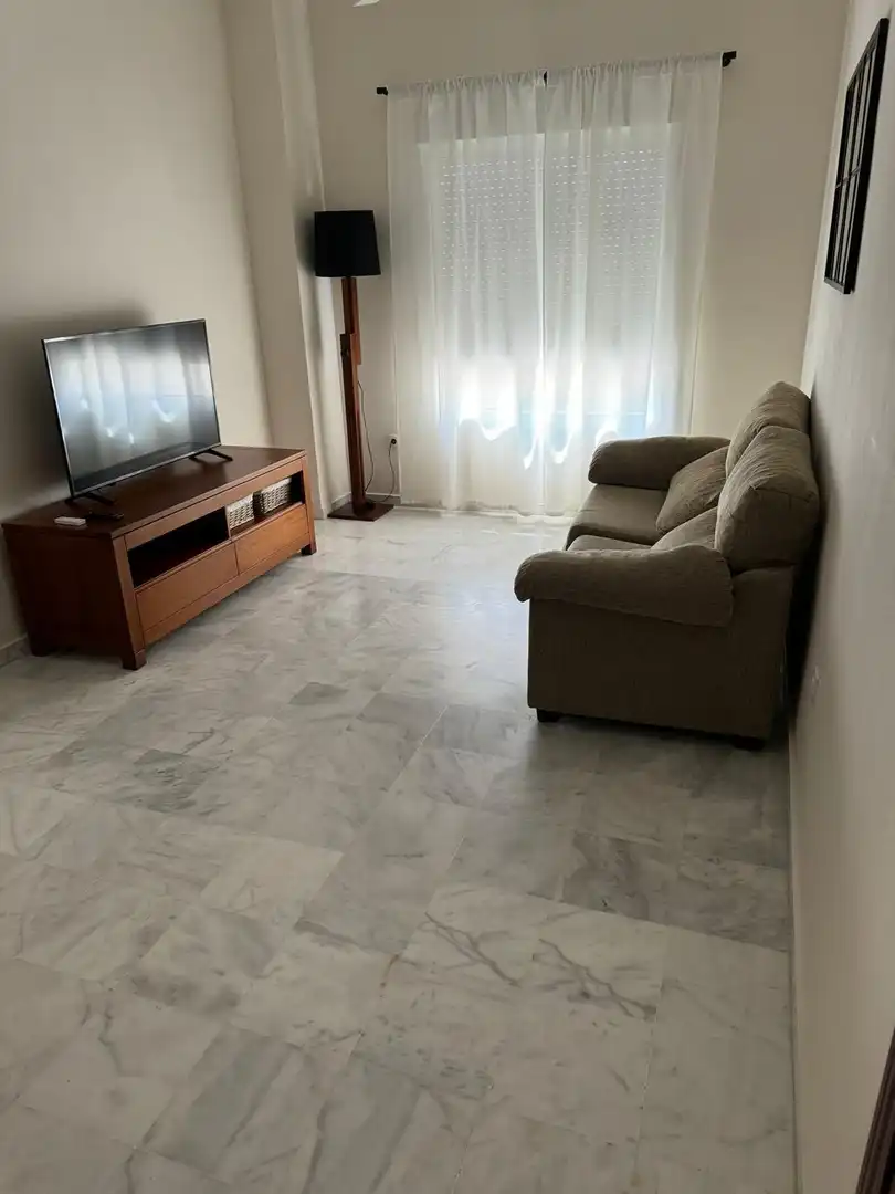 Sala d'estar de Pis en venda en Écija amb Aire condicionat i Moblat