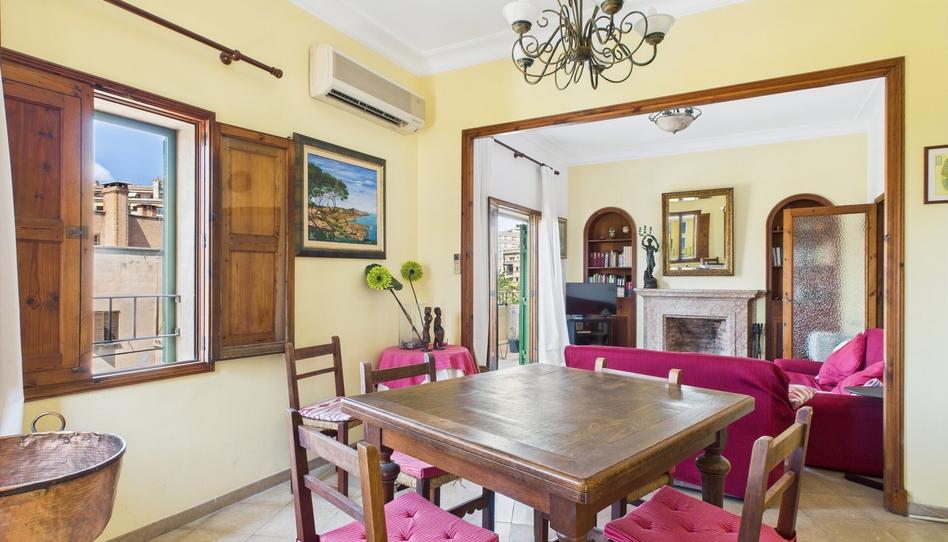 Photo 1 of Flat to rent in Cort, Illes Balears