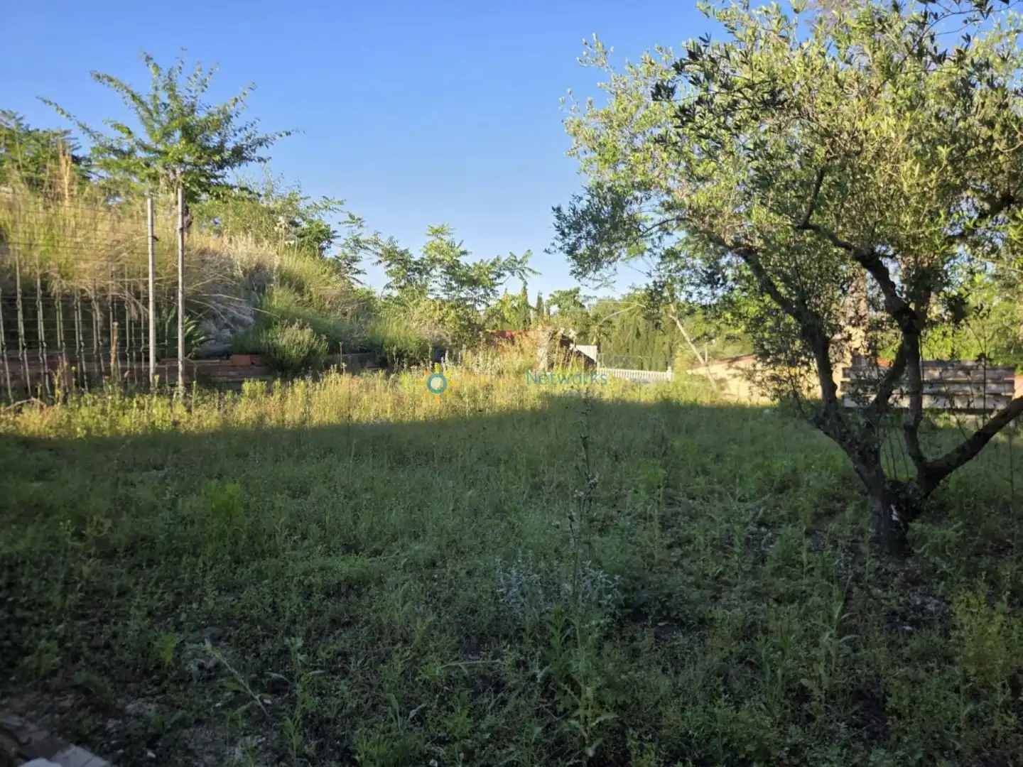 Terreny rústic en venda a Bélgida, imagen 12