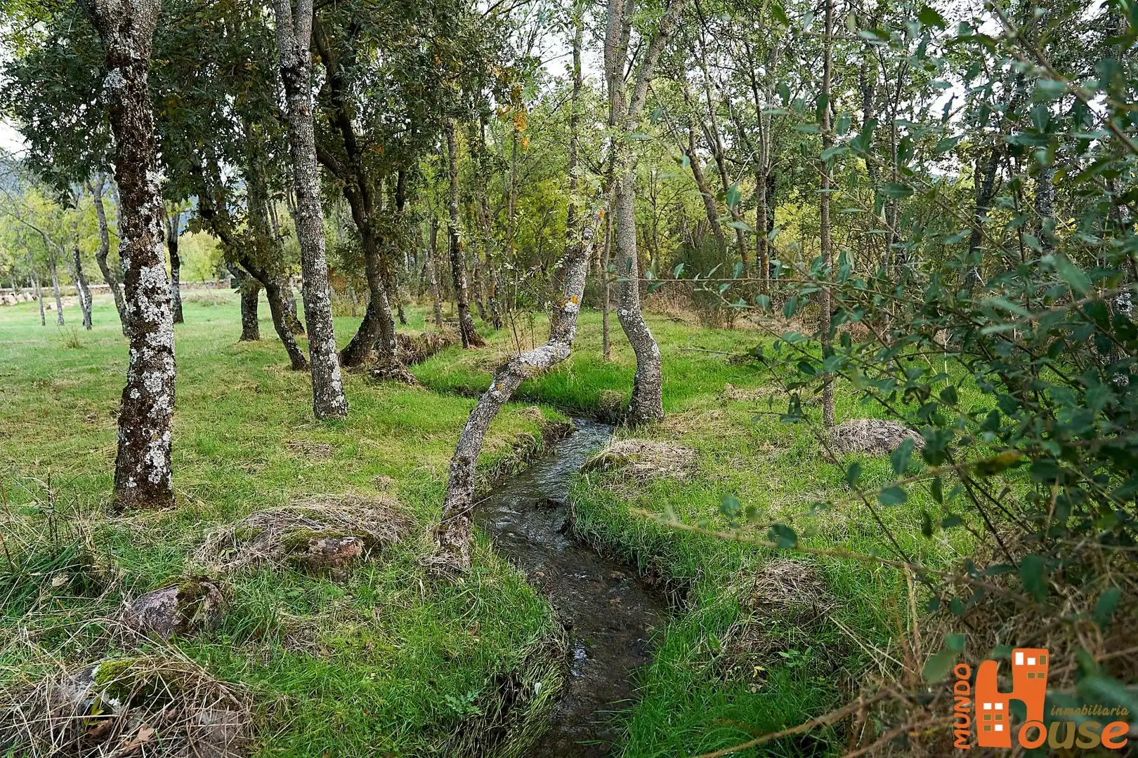 Terreni e lotti in vendita a Carretera de Turégano, imagen 11