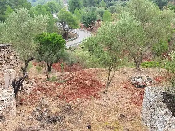 Maison à vendre à Benifallet, imagen 48