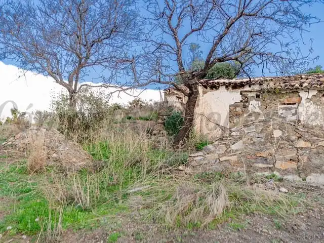Terreni e lotti in vendita a Salares, imagen 2