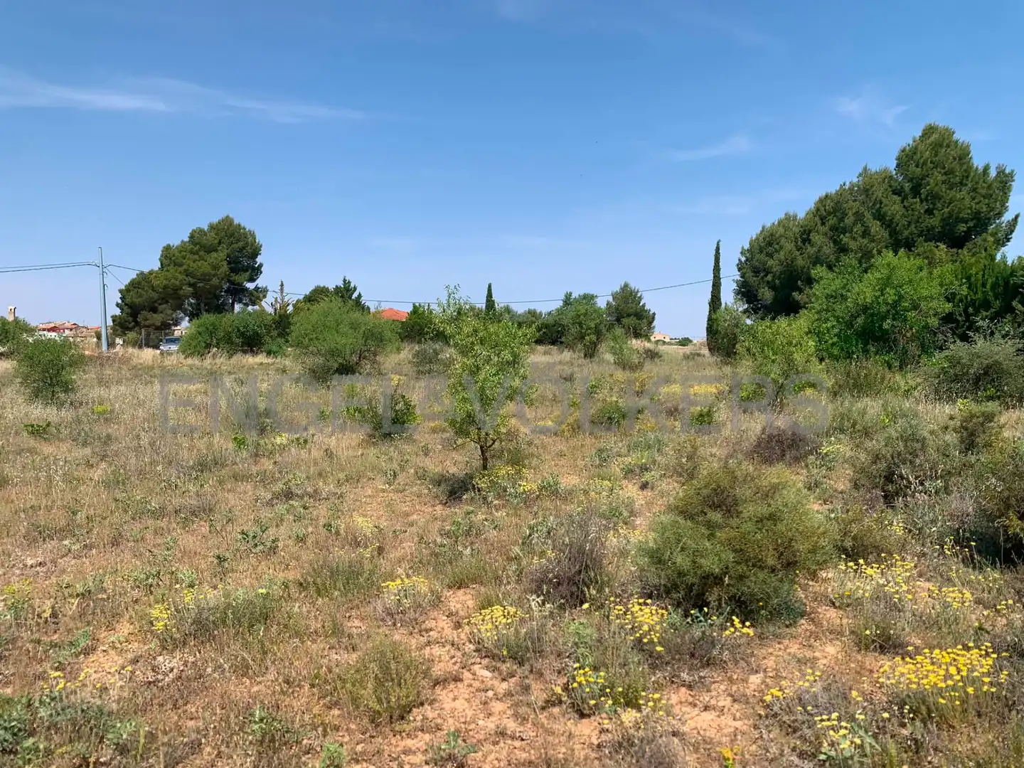 Terreny rústic en venda a Requena, imagen 21
