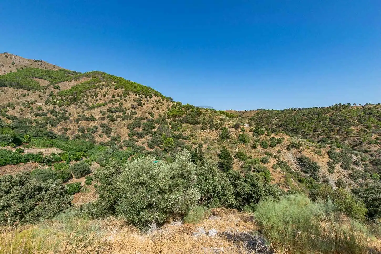 Terreno rustico in vendita a Salares, imagen 2