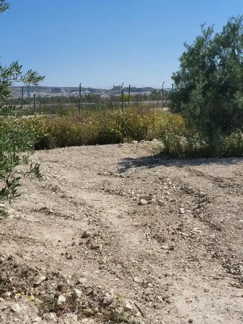 Terreno en venta en Osuna
