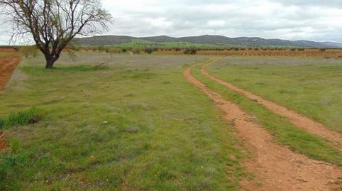 Photo 3 of Land for sale in San Carlos del Valle, Ciudad Real