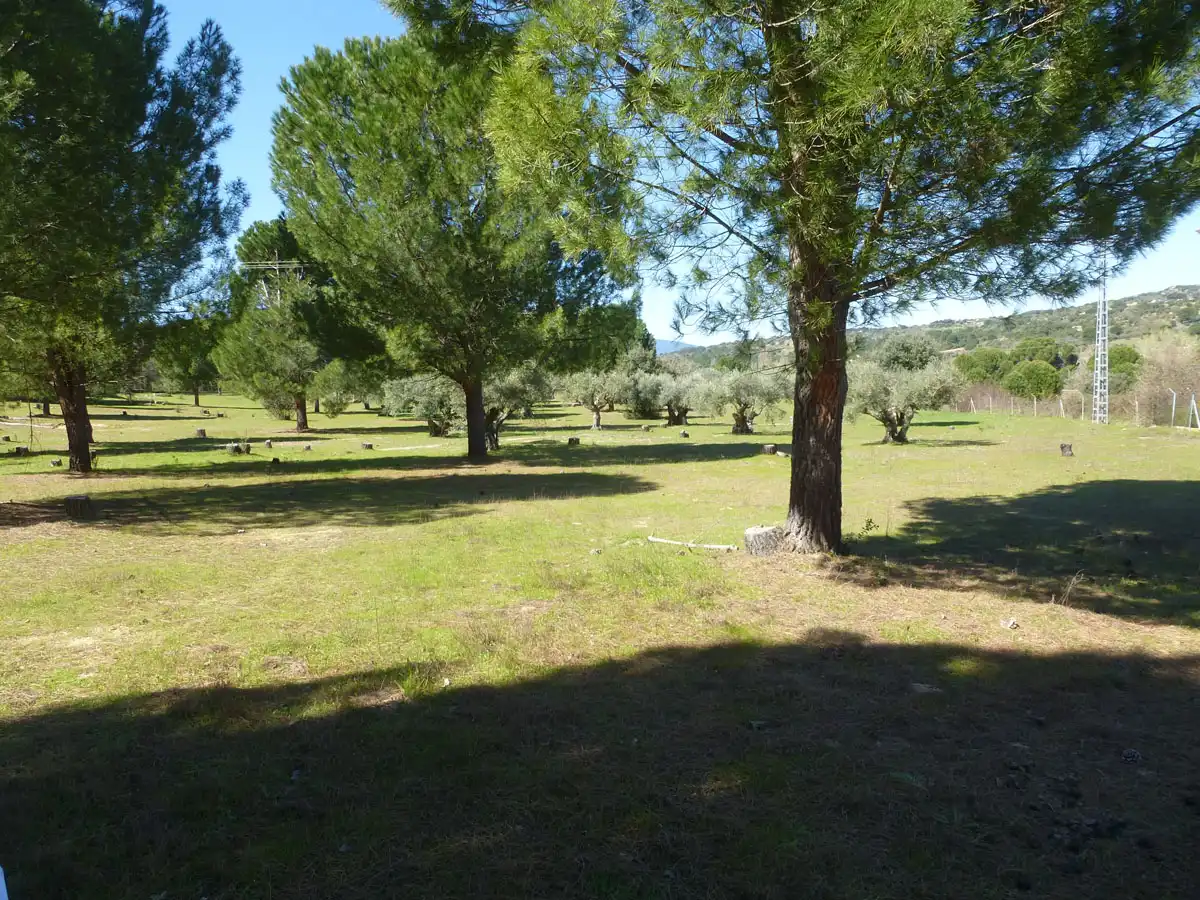 Terreno residencial en venta en Pelayos de la Presa, imagen 12