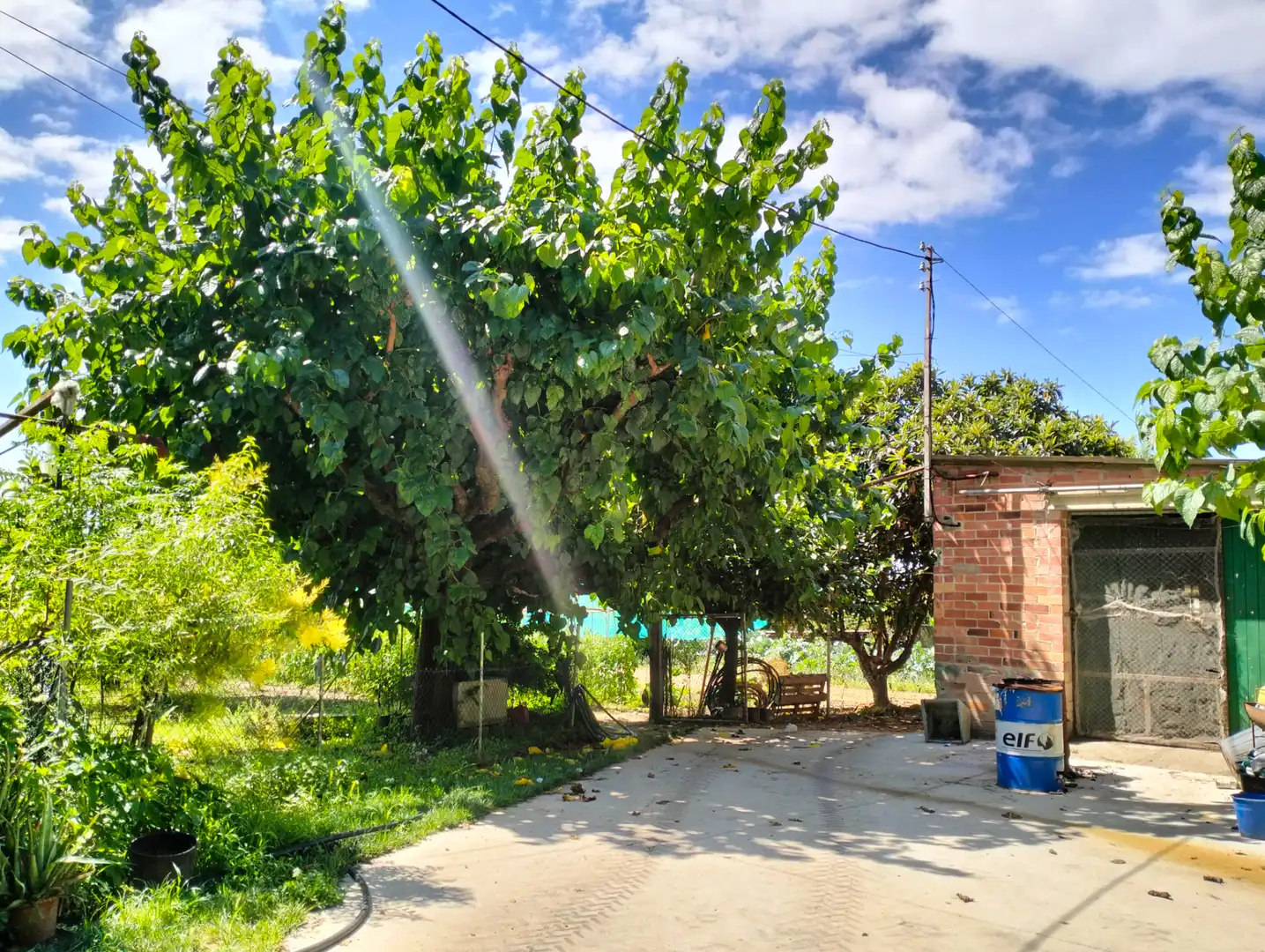 Jardí de Casa o xalet en venda en Cervià de Ter amb Jardí privat, Terrassa i Balcó