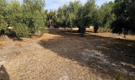 Foto 5 de Residencial en venda a Camino de la Torca, -1, Poleares, Córdoba