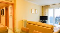 Living room of Flat for sale in Girona Capital  with Terrace and Balcony