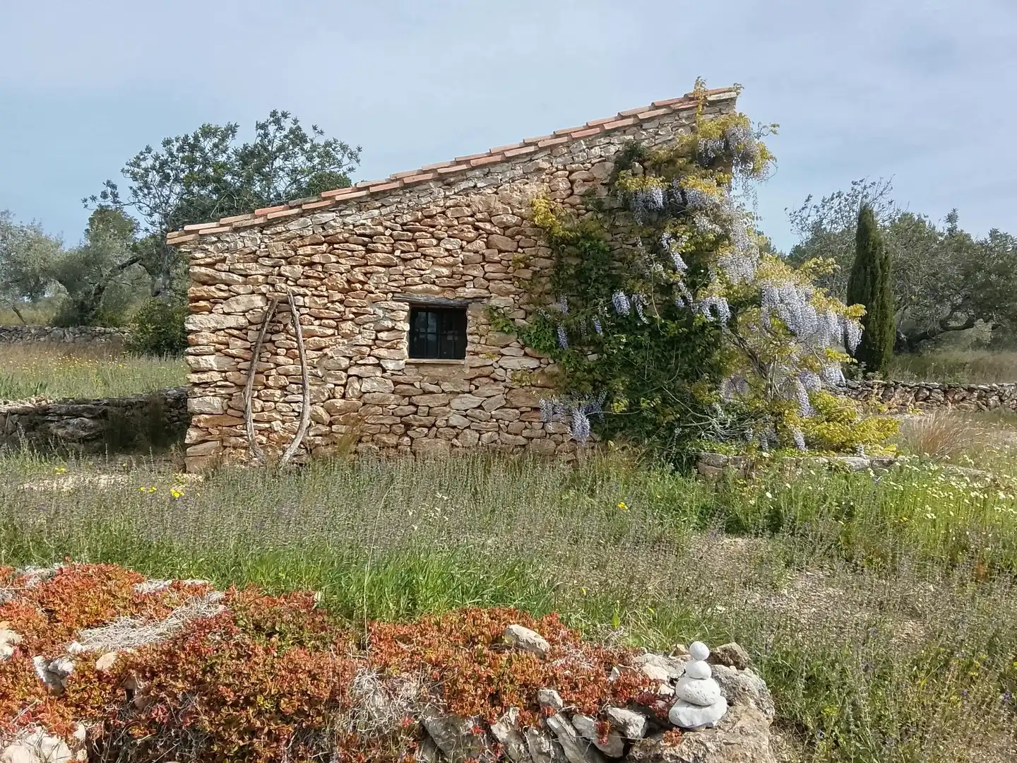 Casa rustica in vendita a Polígono 56 Paraje 586 PLANA DEL LLORELL, imagen 4
