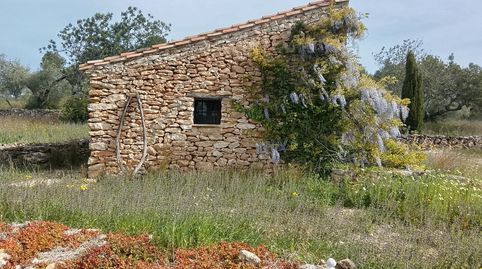 Foto 4 de Finca rústica en venta en Polígono 56 Paraje 586 Plana del Llorell, Tivissa, Tarragona