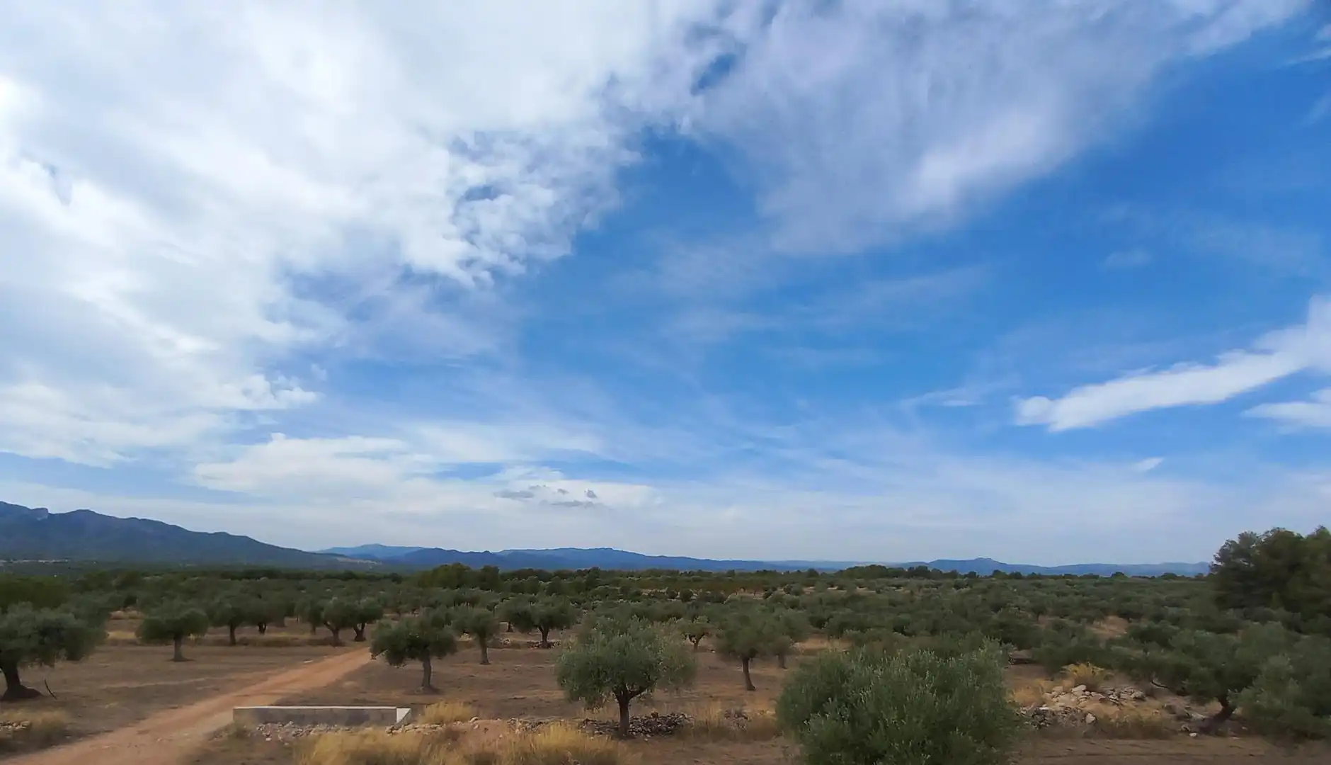 Finca rústica en venta en Tivissa