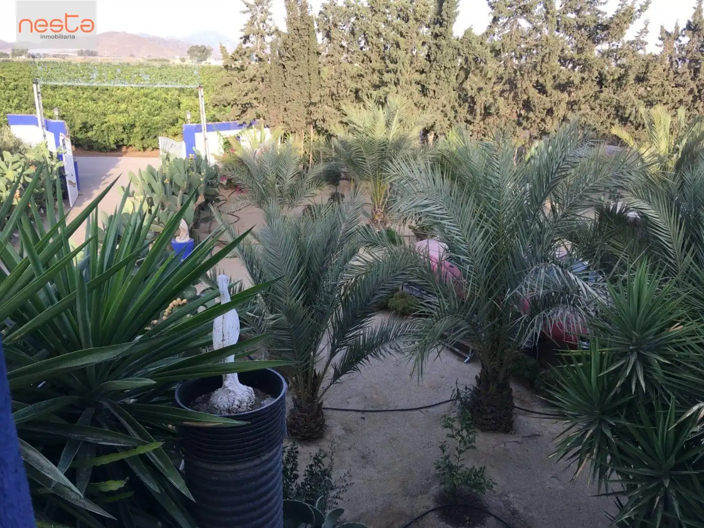Jardí de Finca rústica en venda en Lorca amb Aire condicionat, Jardí privat i Moblat