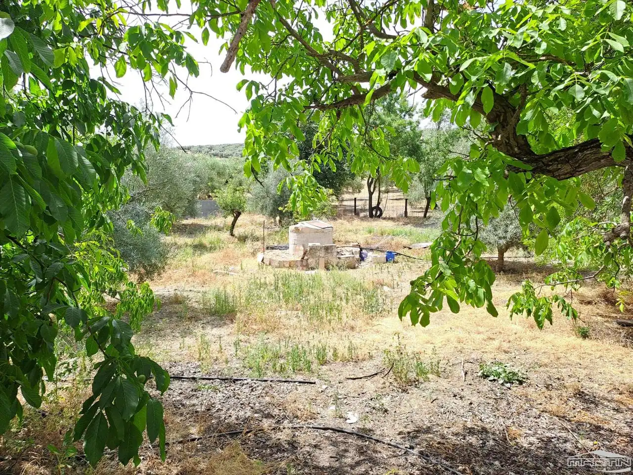 Maison avec piscine à vendre à Paraje Torca Grande, imagen 6
