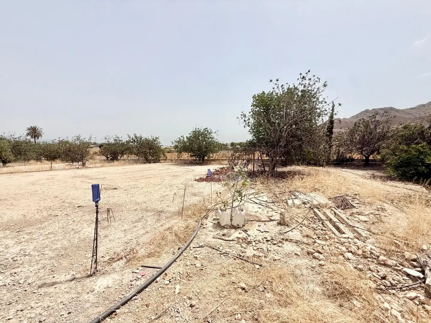Lands and plots for sale in Cox, imagen 14
