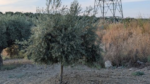 Foto 2 de Terreno en venta en N/a, -1, Lopera, Jaén