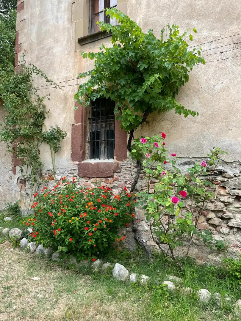 Vista exterior de Casa o chalet en venta en Sant Andreu de la Barca