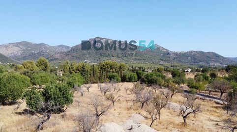 Terreno rústico edificable en Moscari con proyecto y licencia, immagine 2