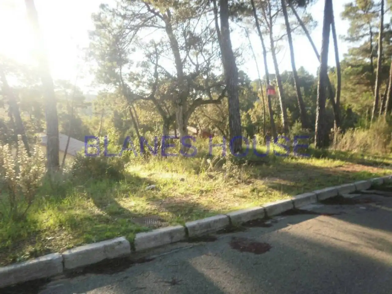 Terreno residencial en venta en Residencial Park, imagen 3
