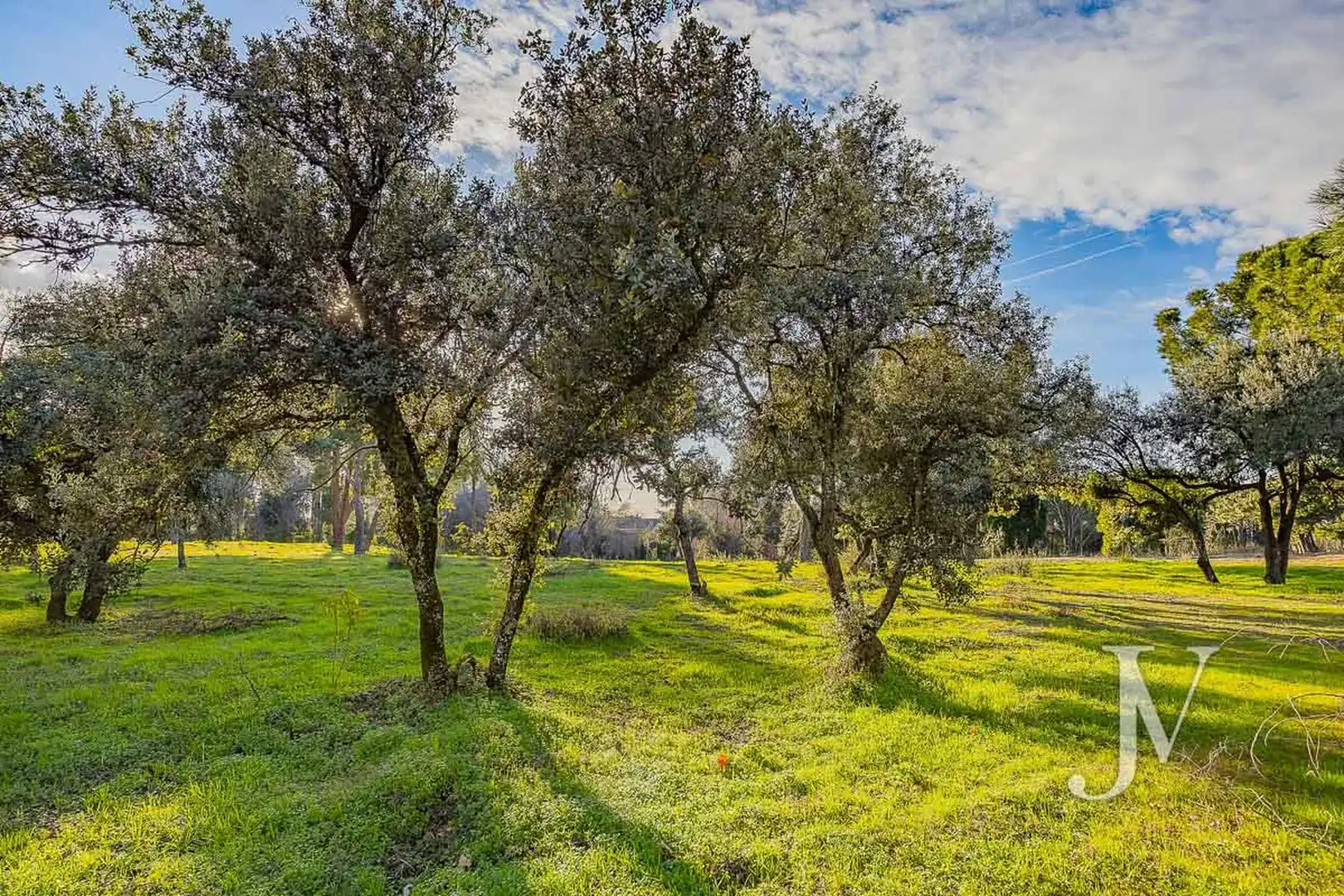 Residencial en venda en La Moraleja