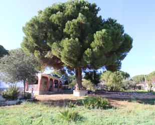 Jardí de Casa o xalet en venda en Alhaurín de la Torre amb Terrassa i Piscina