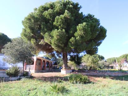 Jardí de Casa o xalet en venda en Alhaurín de la Torre amb Terrassa i Piscina