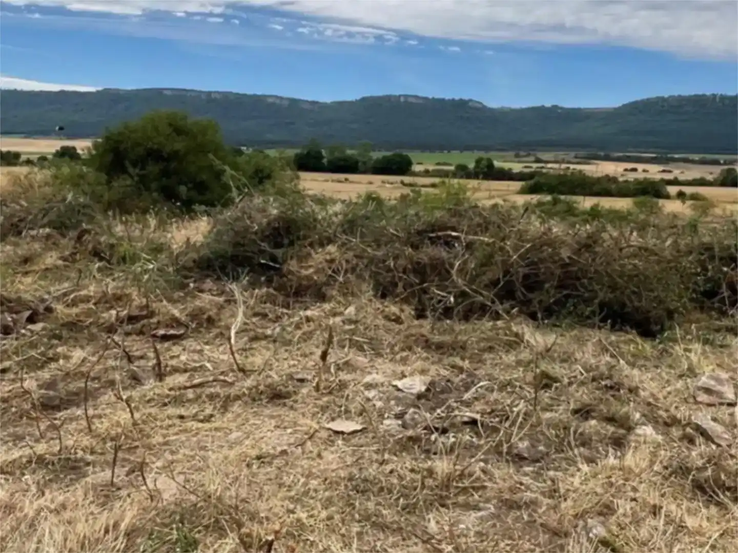 Land for sale in Valle de Losa